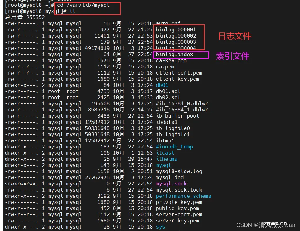 MySql运维篇---008：日志：错误日志、二进制日志、查询日志、慢查询日志，主从复制：概述 虚拟机更改ip注意事项、原理、搭建步骤