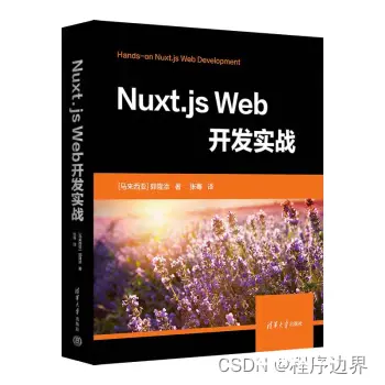 Nuxt.js：下一代Web开发框架的革命性力量