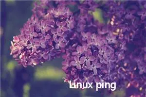 Linux ping命令教程：如何检查网络连接状况(附案例详解和注意事项)