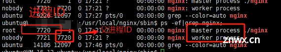 ps--NGINX