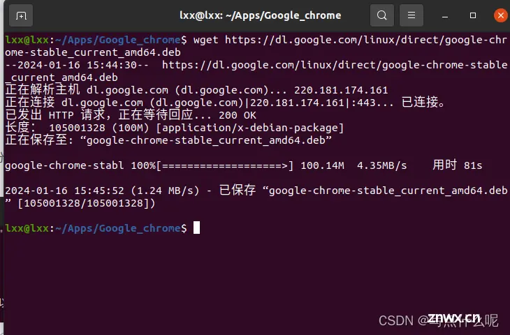 Ubuntu20.04安装Google浏览器