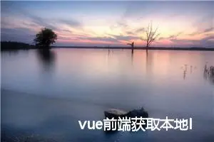 vue前端获取本地IP地址