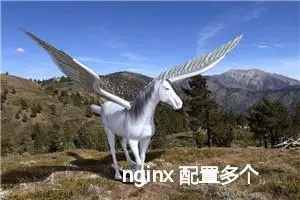 nginx 配置多个 server