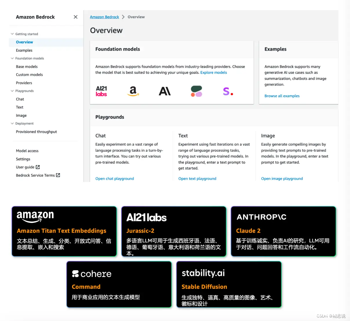 什么是Amazon Bedrock (亚马逊云的生成式 AI产品)