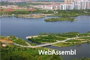 WebAssembly 是啥东西