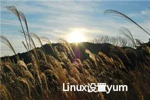 Linux设置yum源为阿里云镜像源