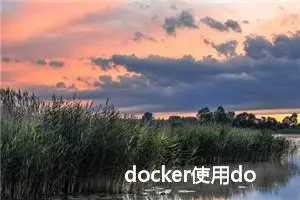 docker使用docker logs命令查看容器日志的几种方式