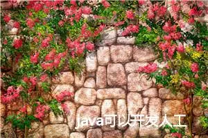 java可以开发人工智能吗