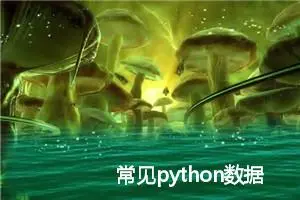 常见python数据类型及其相对应的函数 