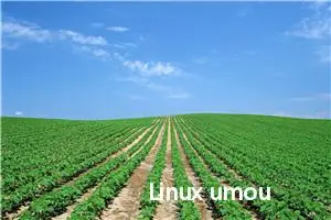 Linux umount命令教程：如何安全地卸载文件系统(附实例详解和注意事项)