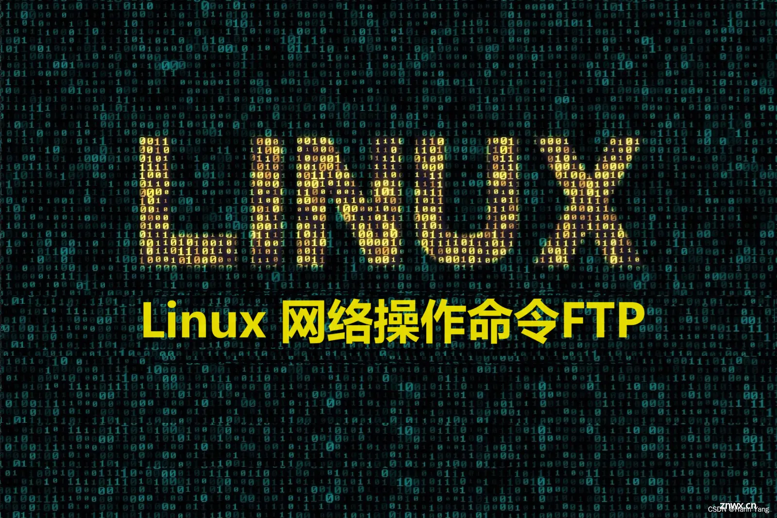 Linux 网络操作命令FTP