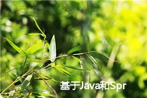 基于Java和Spring：实现图片压缩、WebP格式转换与水印添加