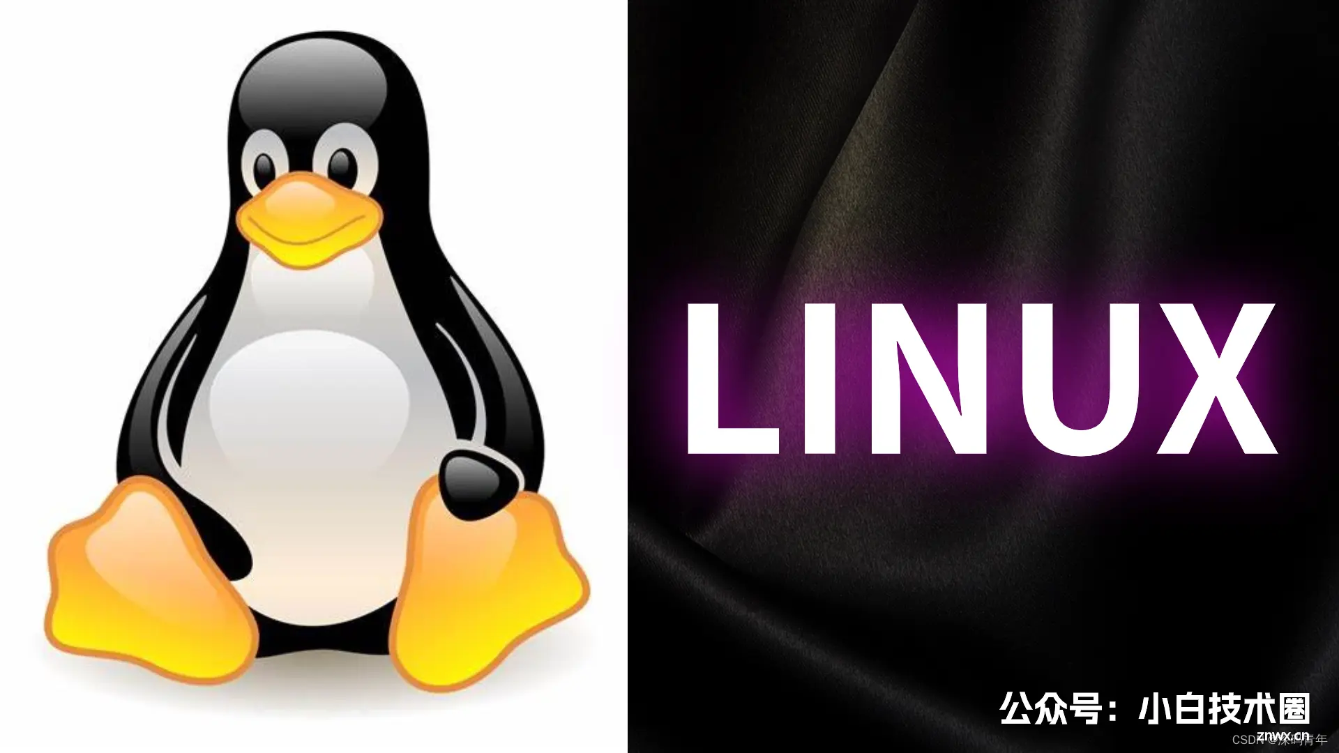 Linux 删除文件夹命令（超详细）