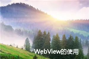 WebView的使用与后退键处理