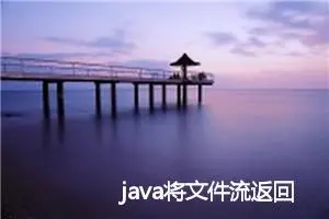 java将文件流返回给前端