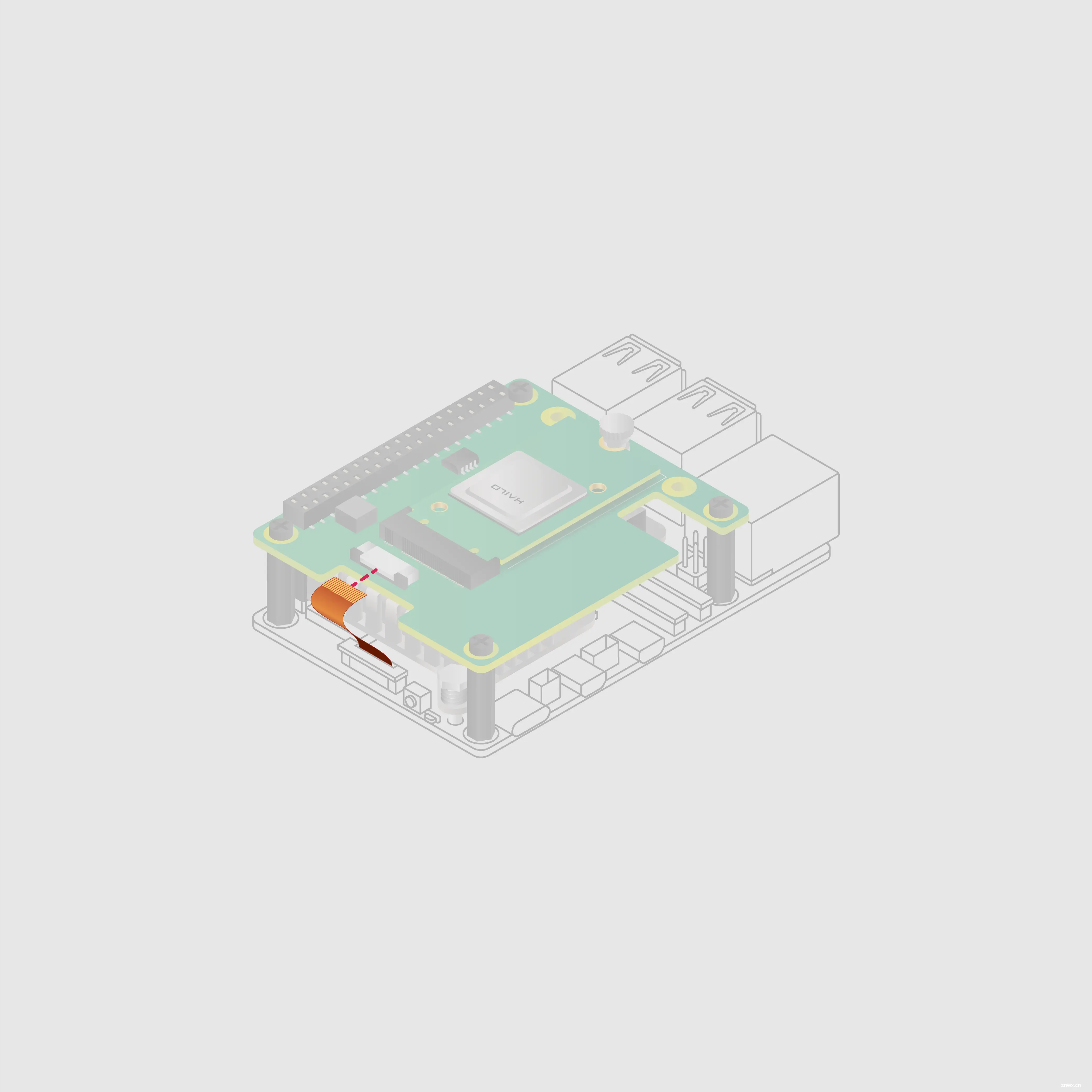 树莓派 5 AI 套件（Hailo-8L）使用教程