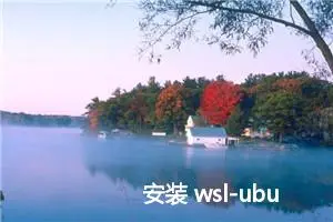 安装 wsl-ubuntu 24.04