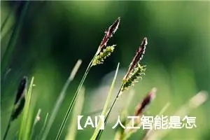 【AI】人工智能是怎么读懂一幅图的