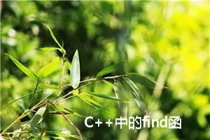 C++中的find函数