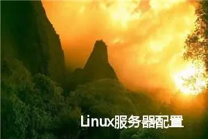 Linux服务器配置指南：网络、用户管理、共享服务及DNS配置详解