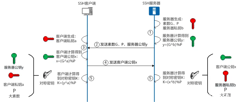 【SSH】SSH流程与wireshark抓包分析