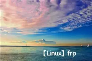 【Linux】frp内网穿透详细教程（简单易懂）