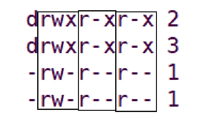 深入Linux：权限管理与常用命令详解