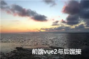 前端vue2与后端接口的简单联调步骤