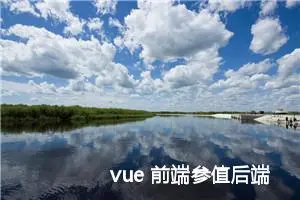 vue 前端参值后端接收的几种方式