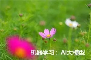 机器学习：AI大模型在数据分析和预测中的应用