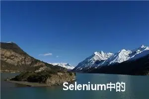 Selenium中的显性等待WebDriverWait