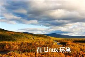 在 Linux 环境下 如何查看 cpu型号