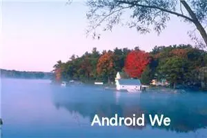 Android WebView 踩坑日记，字体怎么突然变小了？，附超全教程文档