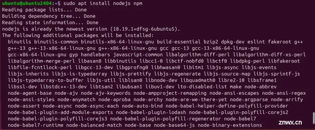 默认 Nodejs 和 NPM 安装