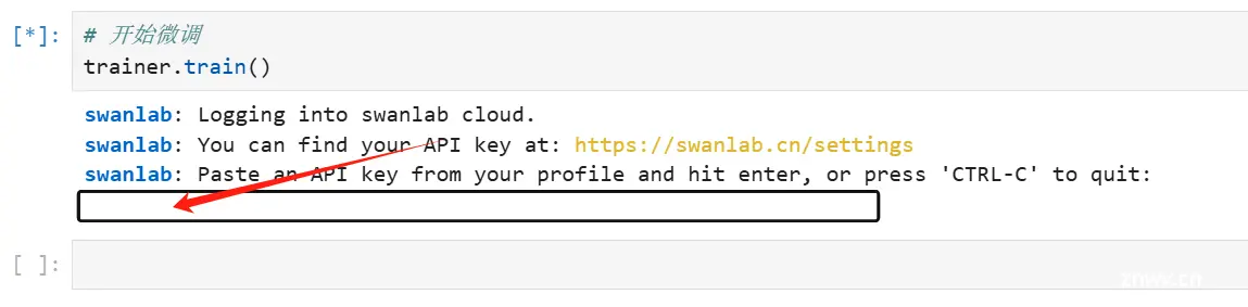 输入SwanLab API Key