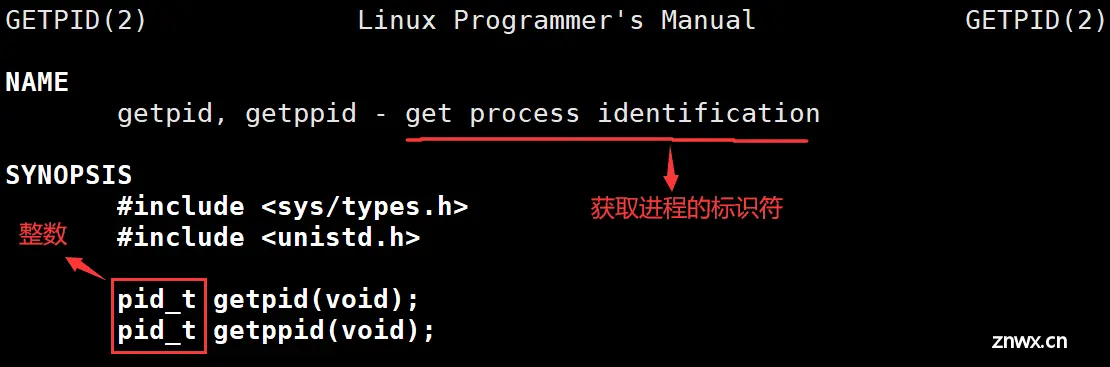 【Linux】解锁操作系统潜能，高效进程管理的实战技巧