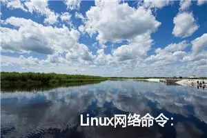 Linux网络命令：网络速度测试工具 speedtest-cli 详解