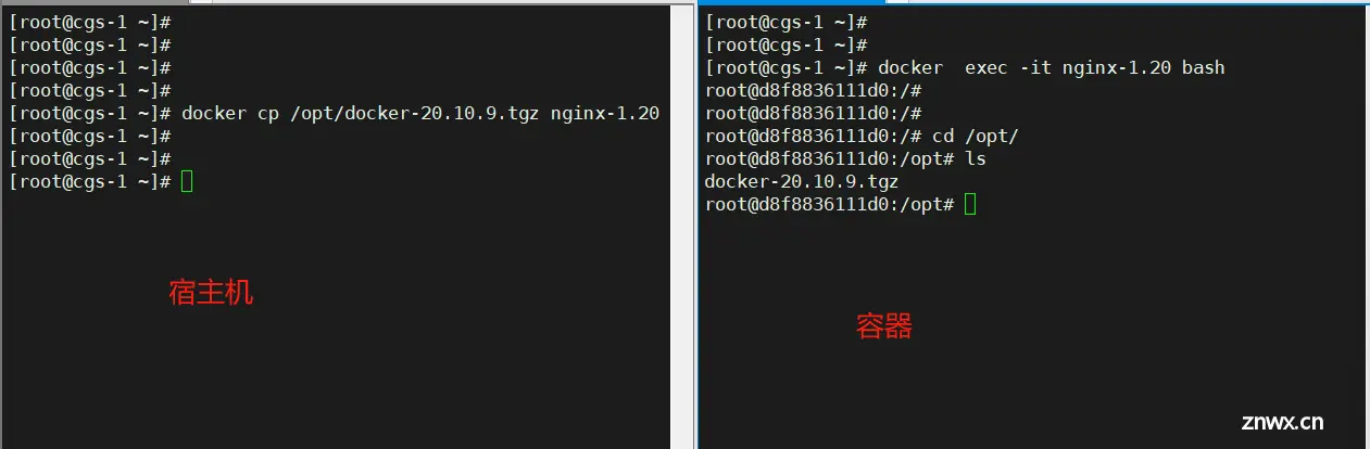 初识Docker及管理Docker