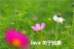 Java 关于抽象 -- Java 语言的抽象类、接口和函数式接口