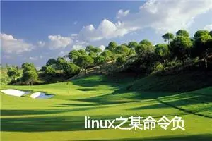 linux之某命令负载很大