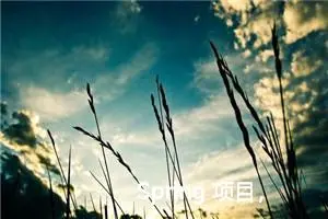 Spring 项目，本地有一个录音文件，我需要以字节流的方式返回给前端，给我一个案例