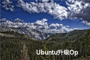 Ubuntu升级OpenSSH至安全版本9.8