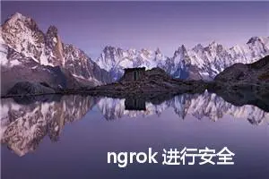 ngrok 进行安全的内网穿透：使用指南