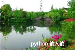 python 输入输出 