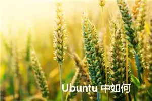 Ubuntu 中如何解压缩文件