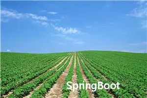 SpringBoot集成WebService