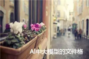 AI中大模型的文件格式有哪些？