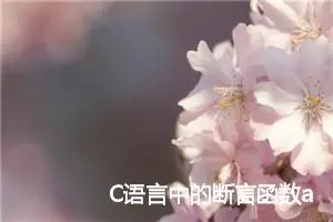 C语言中的断言函数assert 