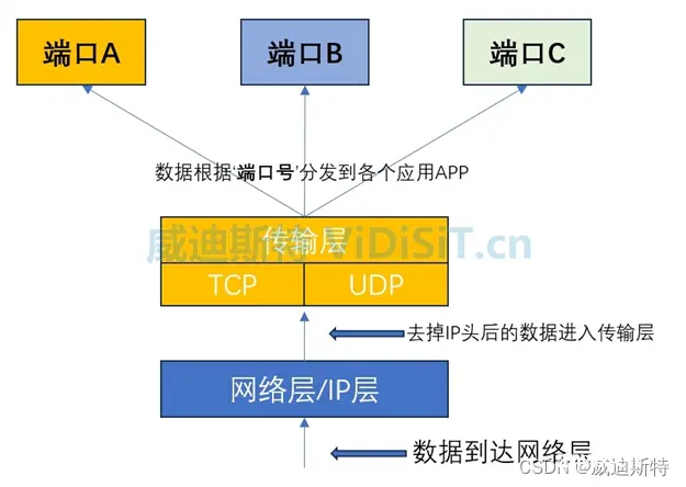 网络端口(包括TCP端口和UDP端口)的作用、定义、分类，以及在视频监控和流媒体通信中的定义