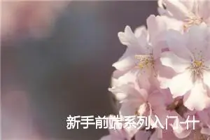 新手前端系列入门-什么是前端开发